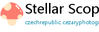 Stellar Scope news portal